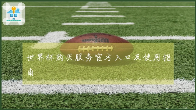 世界杯购买服务官方入口及使用指南
