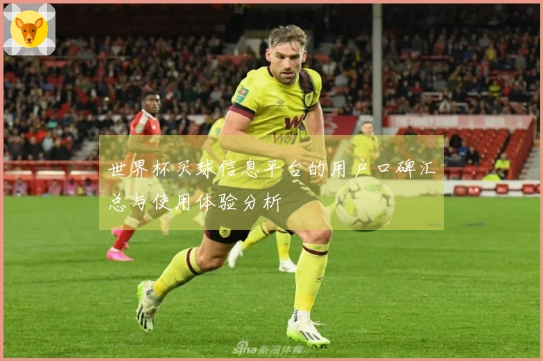 世界杯买球信息平台的用户口碑汇总与使用体验分析