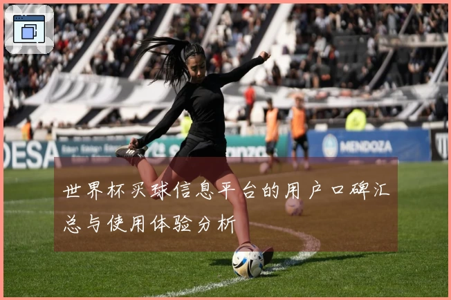 世界杯买球信息平台的用户口碑汇总与使用体验分析