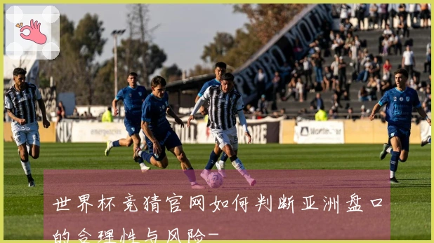 世界杯竞猜官网如何判断亚洲盘口的合理性与风险-