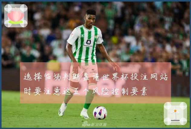 选择临场判断靠谱世界杯投注网站时要注意这五个风险控制要素