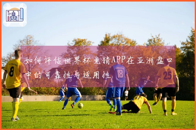 如何评估世界杯竞猜APP在亚洲盘口中的可靠性与适用性