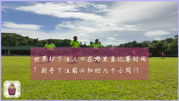 世界杯下注入口在哪里查比赛时间？新手下注前必知的几个小窍门