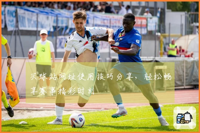 买球站网址使用技巧分享，轻松畅享赛事精彩时刻