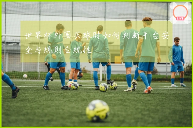 世界杯外围买球时如何判断平台安全与规则合规性