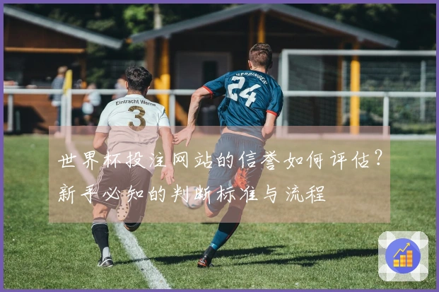 世界杯投注网站的信誉如何评估？新手必知的判断标准与流程