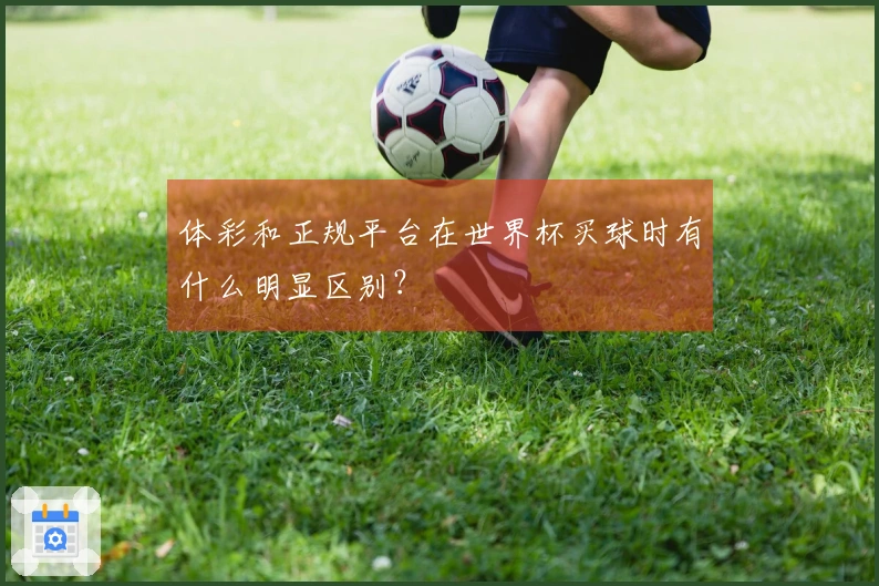 体彩和正规平台在世界杯买球时有什么明显区别？