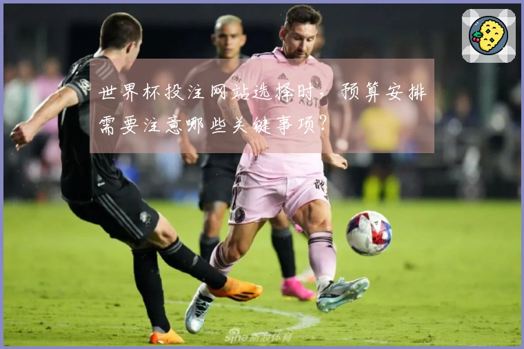 世界杯投注网站选择时，预算安排需要注意哪些关键事项？
