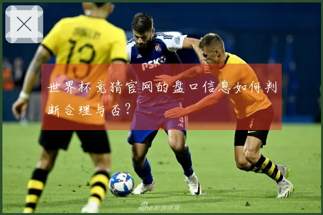 世界杯竞猜官网的盘口信息如何判断合理与否？
