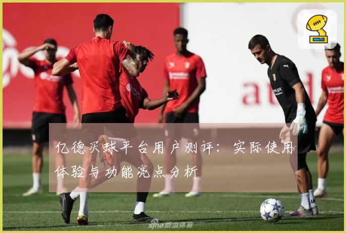 亿德买球平台用户测评：实际使用体验与功能亮点分析
