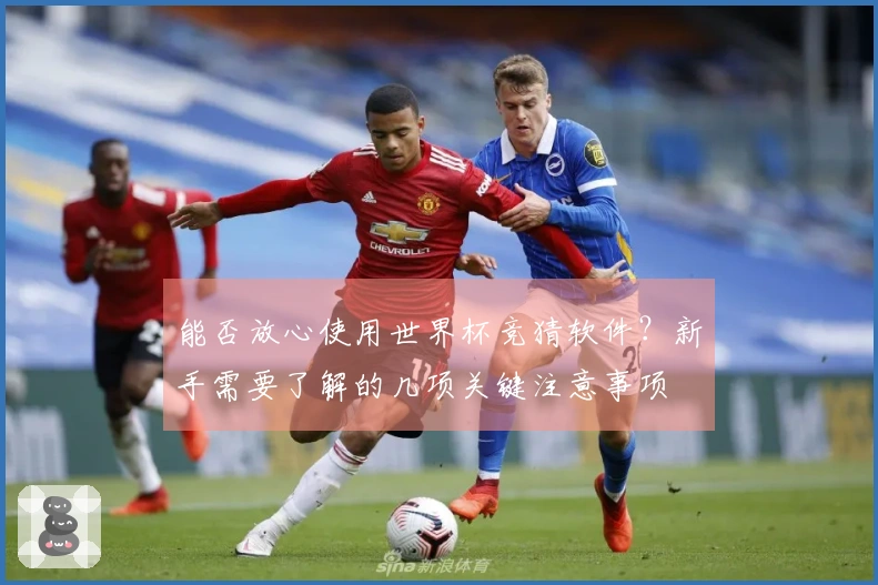 能否放心使用世界杯竞猜软件？新手需要了解的几项关键注意事项