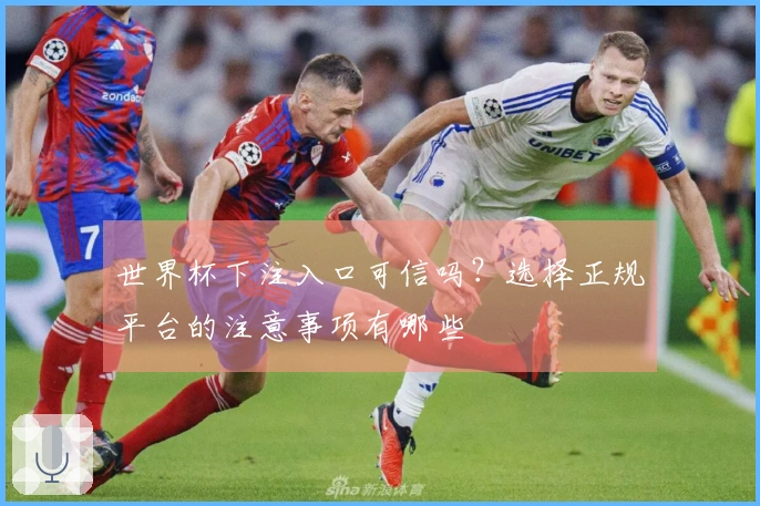 世界杯下注入口可信吗？选择正规平台的注意事项有哪些