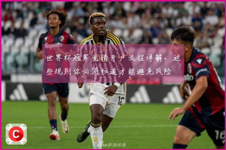 世界杯冠军竞猜开户流程详解，这些规则你必须知道才能避免风险