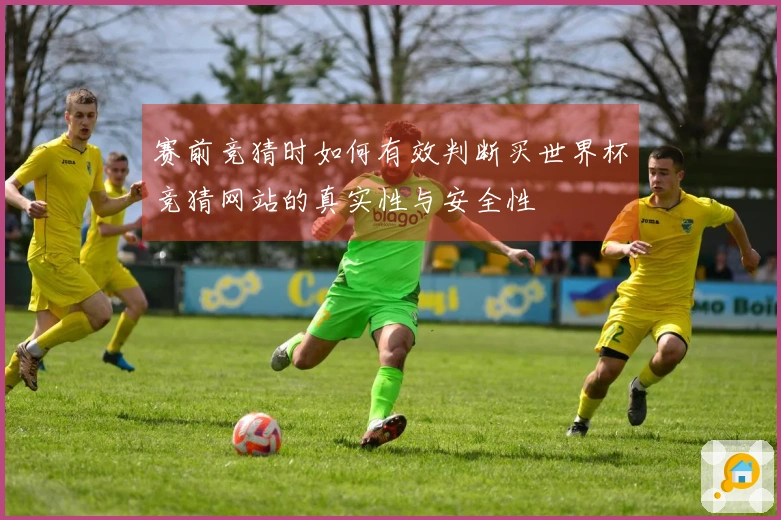 赛前竞猜时如何有效判断买世界杯竞猜网站的真实性与安全性