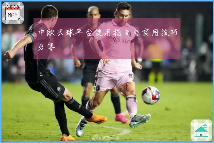 中欧买球平台使用指南与实用技巧分享