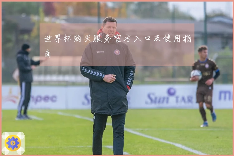 世界杯购买服务官方入口及使用指南