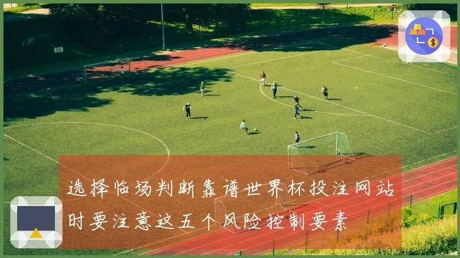 选择临场判断靠谱世界杯投注网站时要注意这五个风险控制要素