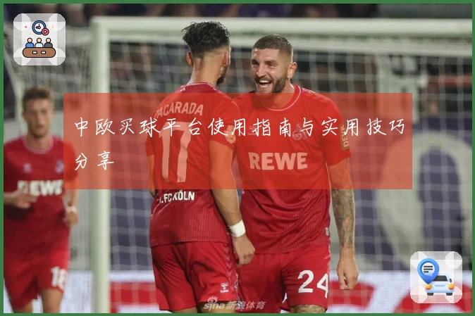 中欧买球平台使用指南与实用技巧分享